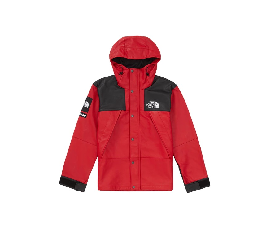 Supreme The North Face Leather Mountain Parka Red / 슈프림 노스페이스 레더 마운틴 파카 레드