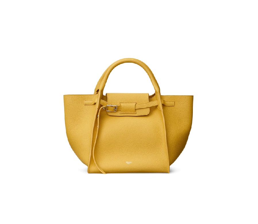 Celine Big Bag Small Sunflower