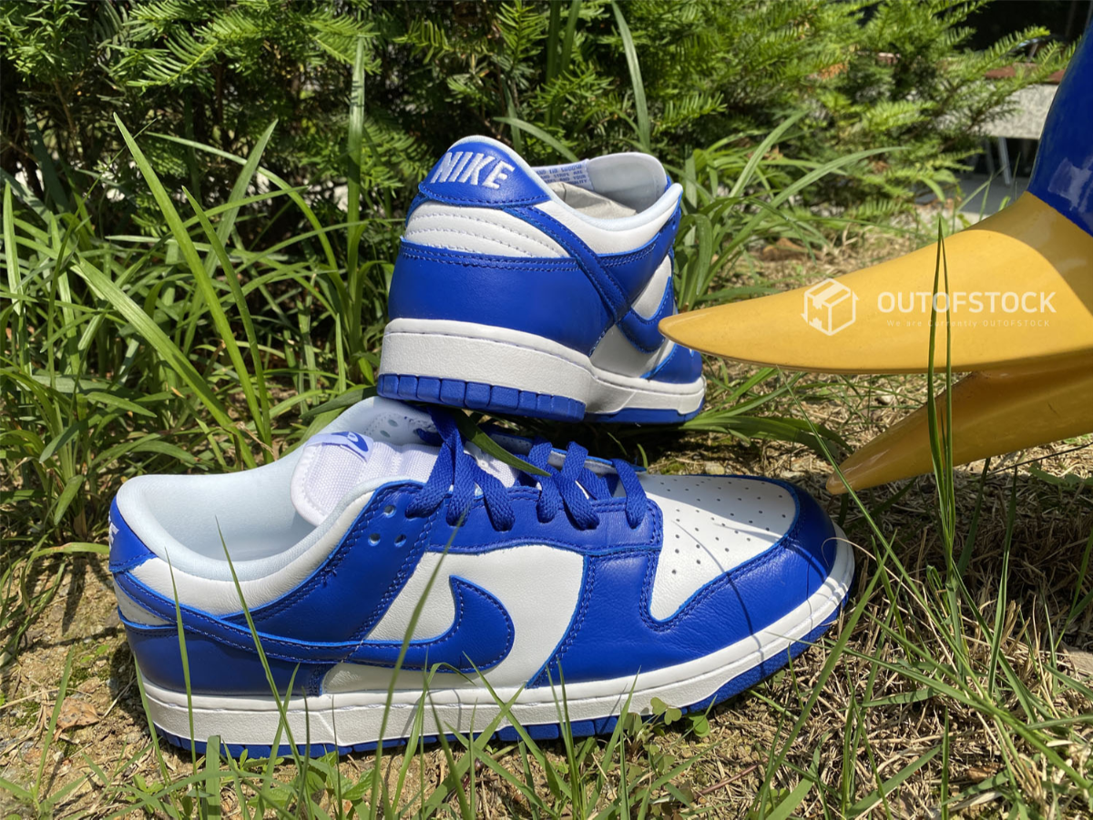 나이키 덩크 로우 흰파 로얄 블루 켄터키 (2020) / Nike Dunk Low SP Varsity Royal Blue Kentucky (2020)